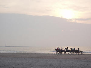 horseback riding on beach. Horse Riding on the each