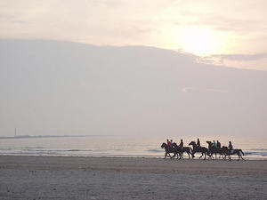 Horse Riding on the beach horse riding. Horse Riding on the beach