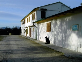 Agriturismo Il Frutteto di Amelia Misano Adriatico