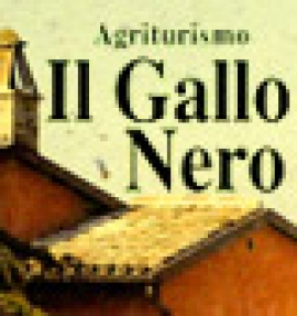 Il Gallo Nero