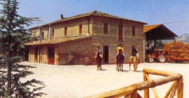 La Vecchia Cantina