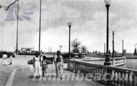 Il Lungomare di Rimini