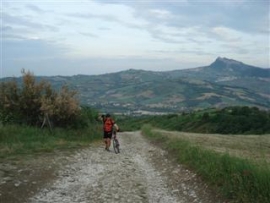 Cinghialaia Downhill MTB