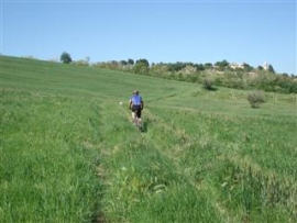 Escursione nella valle del Marano passando da Albereto