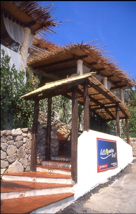 Bilionaire