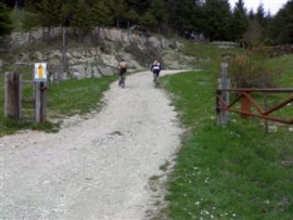 Cippo e verso Carpegna