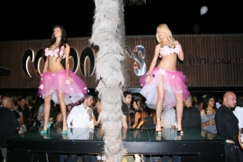 Coconuts Night Life