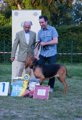 Esibizione Canina Nazionale 2015