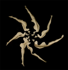 MOMIX in SUN FLOWER MOON