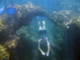 mostra oceano mare riccione
