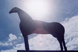 Mostra Paladino e Baltz Modena