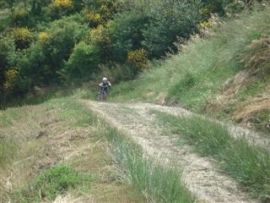 Mountain Bike Marano