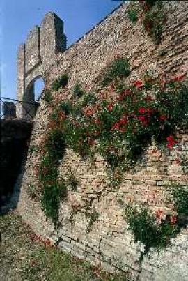 Mura ed archi del Castello malatestiano
