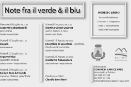 NOTE FRA IL VERDE E IL BLU 2008