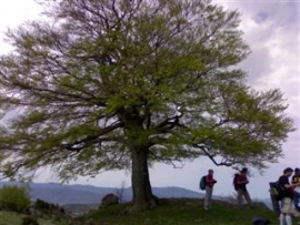 panorama Sasso Simone