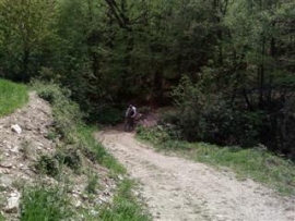 Scavolino Mtb