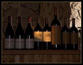 A caccia di vini e sapori