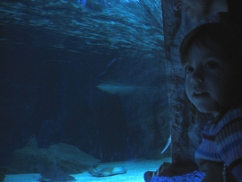 Acquario laboratori didattici