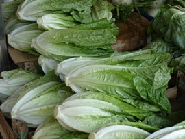 AlimentArti