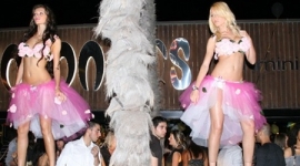 Apertura Coconuts