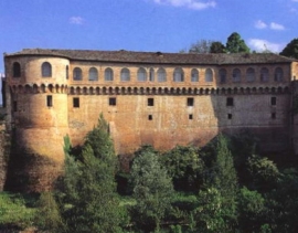 Apifarfalle nel Mondo Urbania