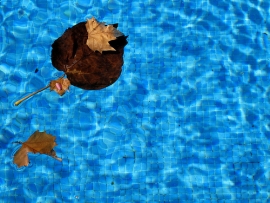 Aquafan sindaco cammina sull acqua