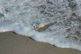 Bagno Mare Iverno