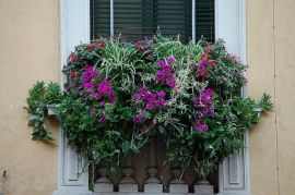 Balconi Fioriti 2011 Santarcangelo