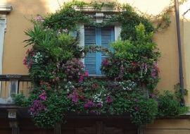 Balconi Fioriti Santarcangelo 2014