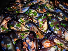 Bellaria festa delle cozze