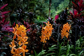 Bilancio positivo per Giardini d’autore