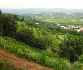 Brasile Tour Ciclistico Riviera