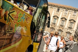 Bus Operator Tedeschi Cattolica