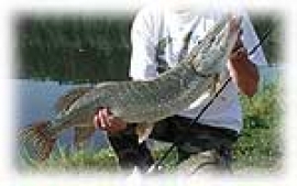 Calendario Pesca Sportiva Bagno di Romagna