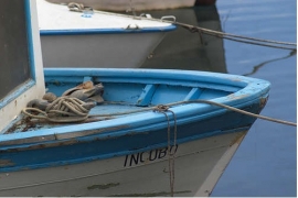 Canoni Demaniali Portur Bellaria