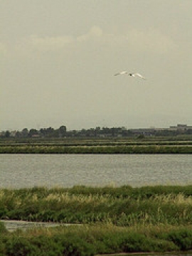 Centro Benessere Saline Cervia