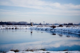 Cervia Emergenza Ghiaccio 