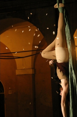 Circo di strada di Freddy Allegria