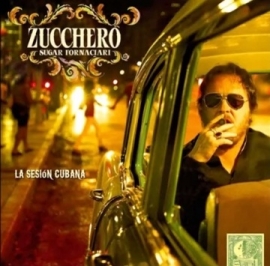 Concerto Zucchero Fornaciari Rimini 2013