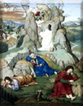 Convegno Studi Timoteo Viti a Urbino