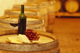 Convegno Vini Dei Colli Di Rimini