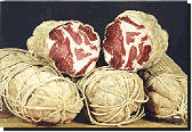 Coppa D'Oro Piacenza