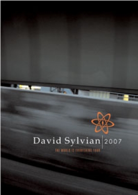 David Sylvian