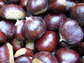 Diminuzione Raccolta Castagne