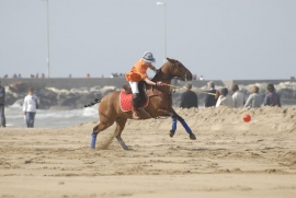 Domani Giornata Finale Polo Cup Rimini 