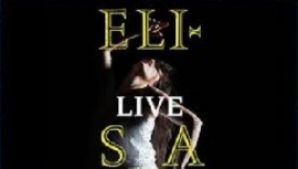 Elisa 105 Stadium 2014