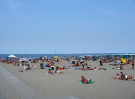 Estate 2007