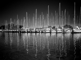 Eventi al Circolo Nautico di Cattolica
