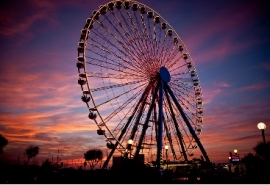 Eye Love Rimini Notte Rosa