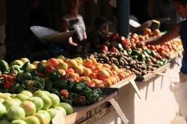 Farmer Market Rimini